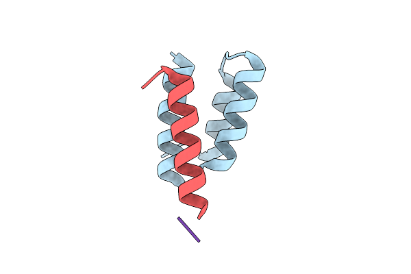 1T6O image