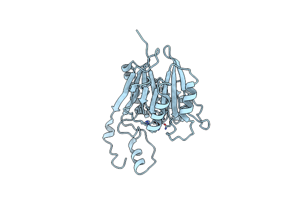 1T71 image