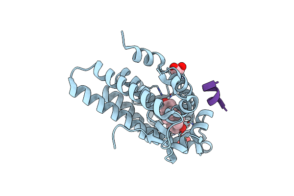 1T74 image