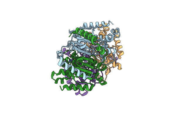 1T75 image