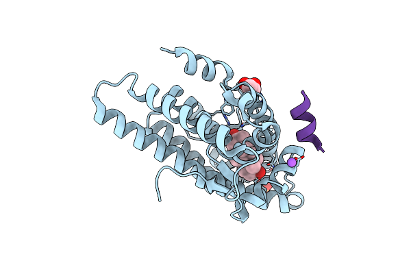 1T76 image