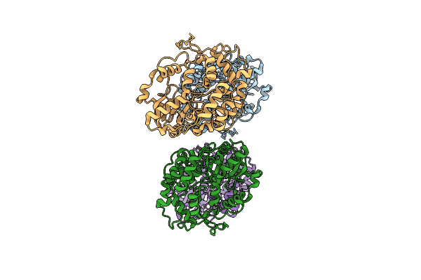 1T77 image