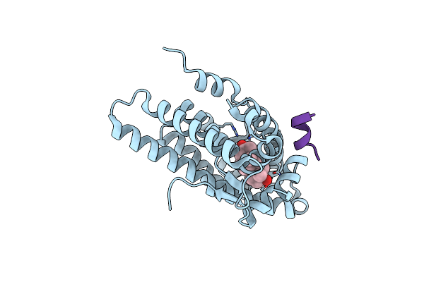 1T79 image