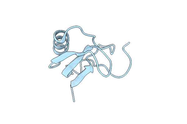 1T7A image