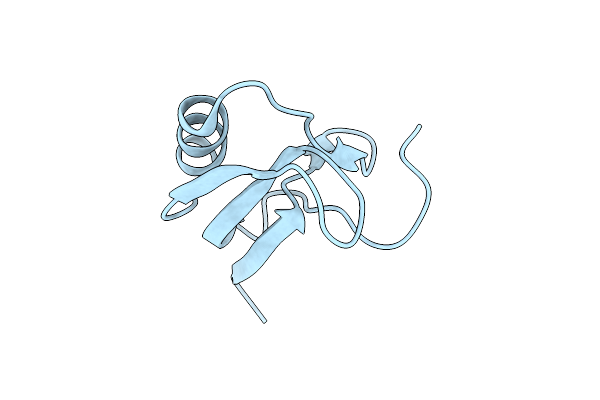 1T7B image
