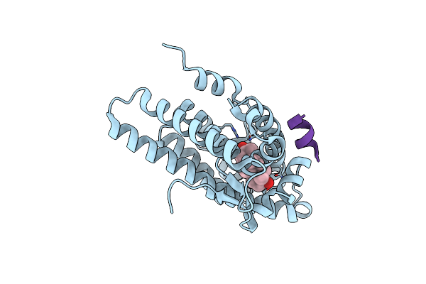 1T7F image