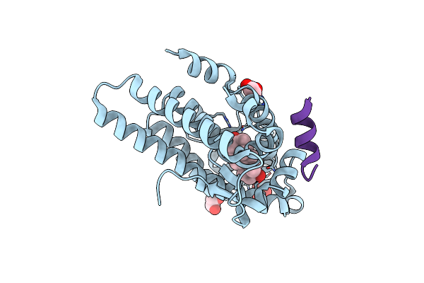 1T7M image