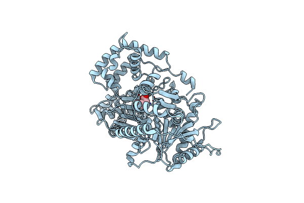 1T7O image