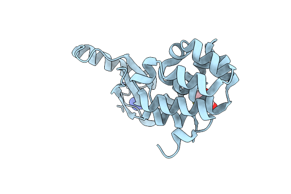 1T8A image