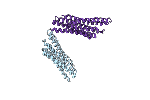 1T8B image