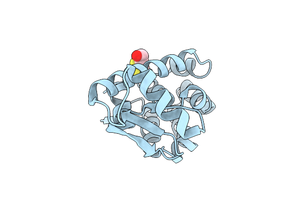1T8F image