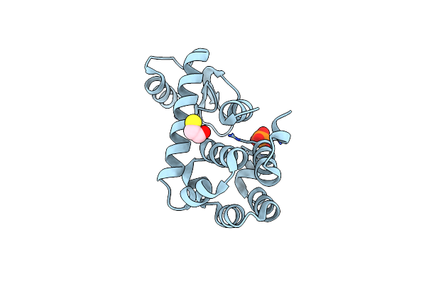 1T8G image