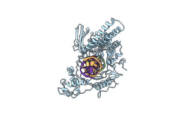 1T8I image