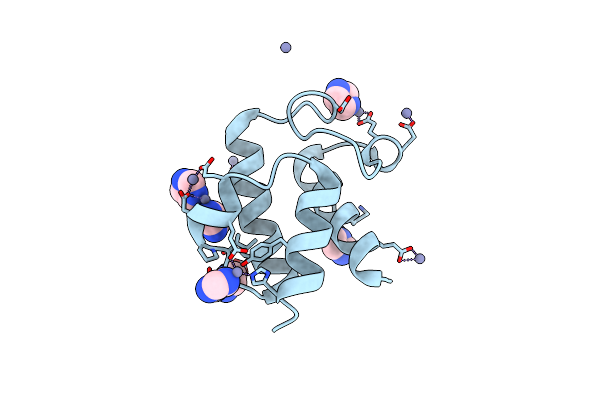1T8K image