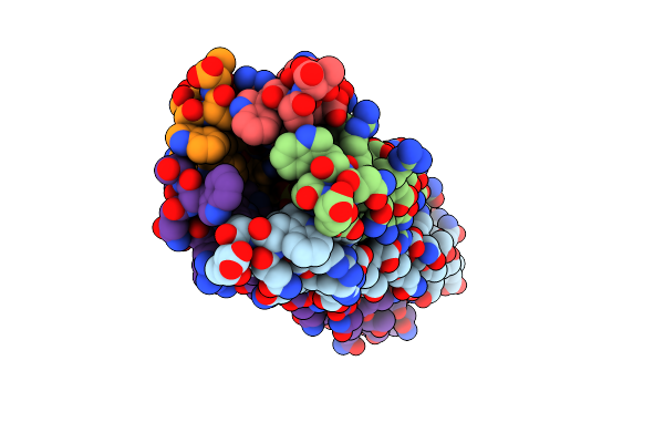 1T8Z image