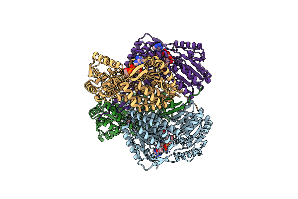 1T90 image