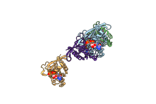 1T91 image