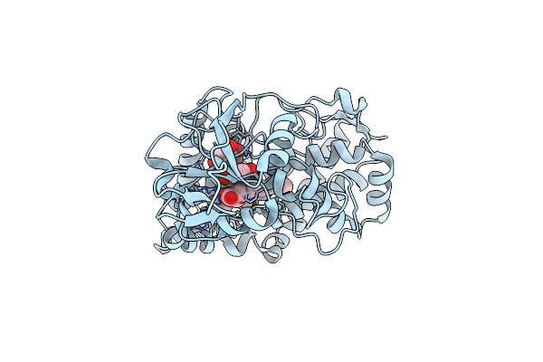 1T93 image
