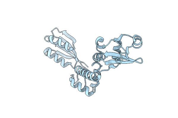 1T95 image
