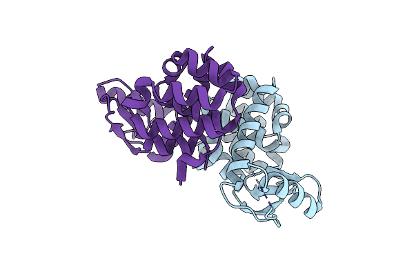 1T97 image