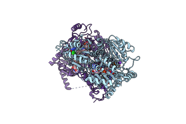 1T9B image