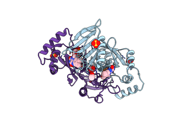 1T9M image