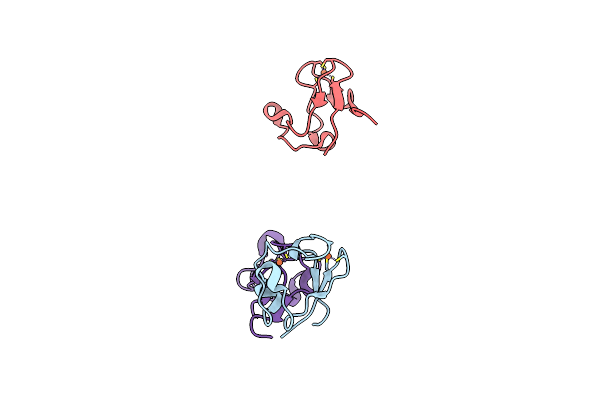 1T9P image
