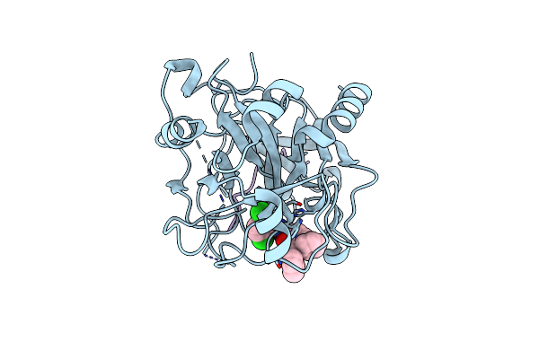 1TA2 image