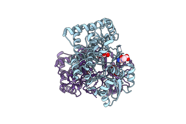 1TA9 image