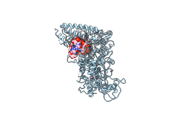 1TAU image