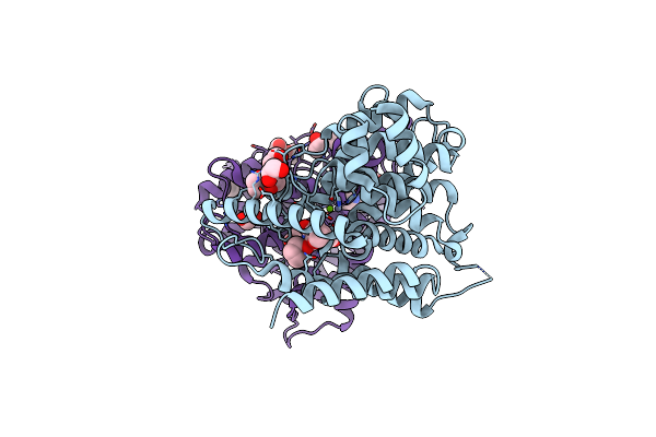 1TBB image