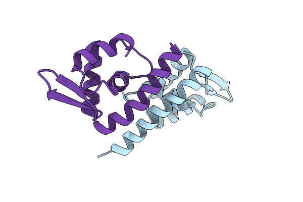 1TBX image