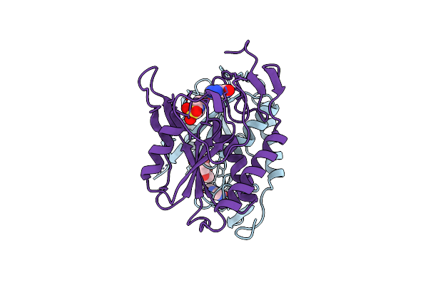 1TC1 image