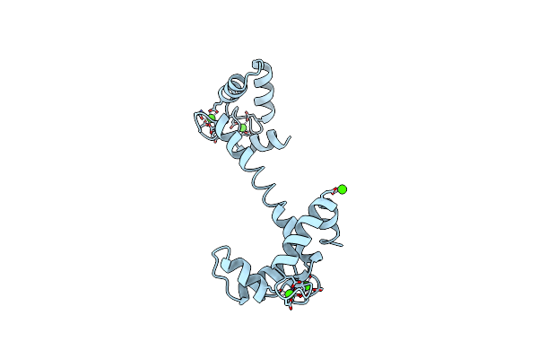 1TCF image