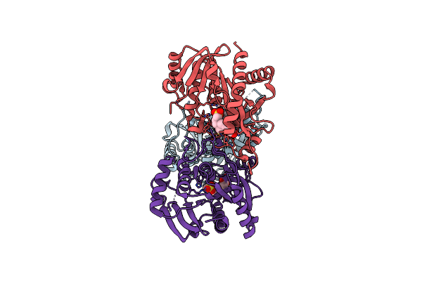 1TCV image