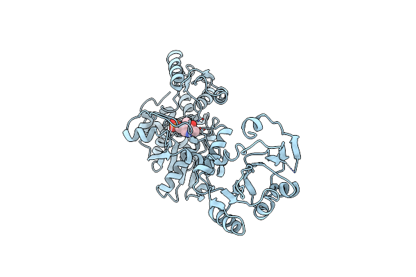 1TDJ image