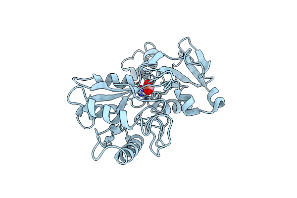 1TFD image