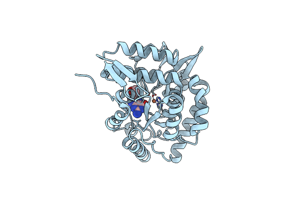 1TG2 image