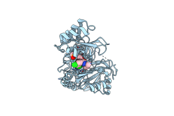 1TG5 image