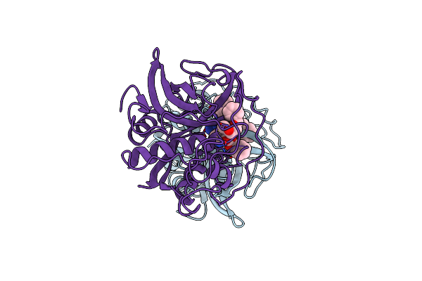 1THE image
