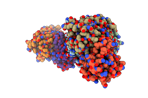 1TIL image