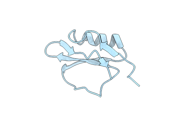 1TIN image