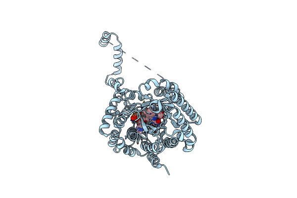 1TIW image