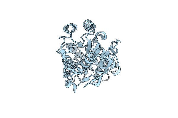 1TM2 image