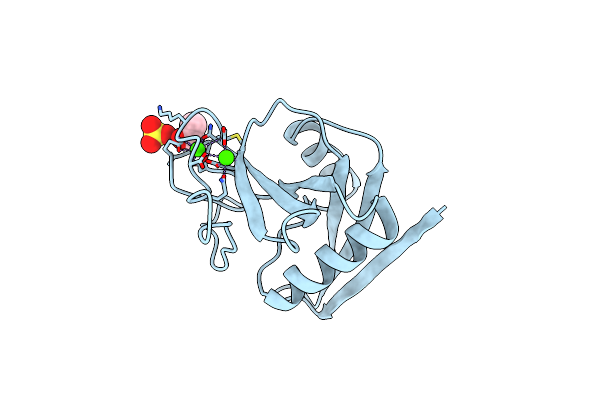 1TN3 image