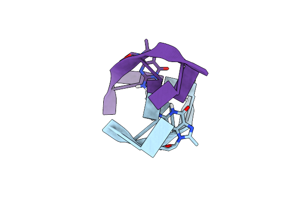 1TNE image