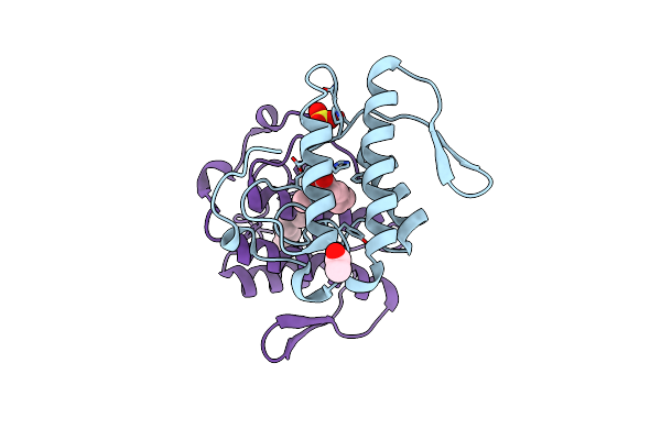1TP2 image