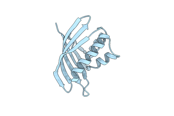 1TP6 image