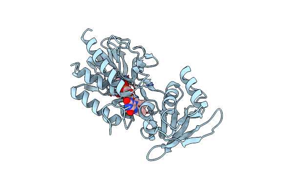 1TRB image
