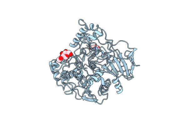 1TRH image